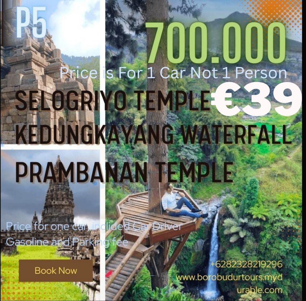 Ricefield - Temple - Waterfall (€39) 